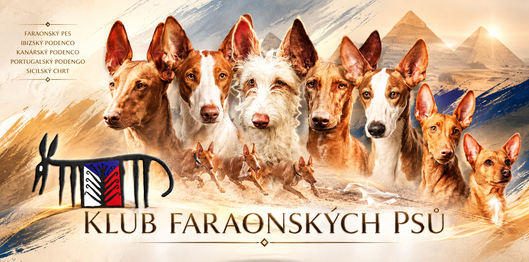 Klub Faraonských Psů